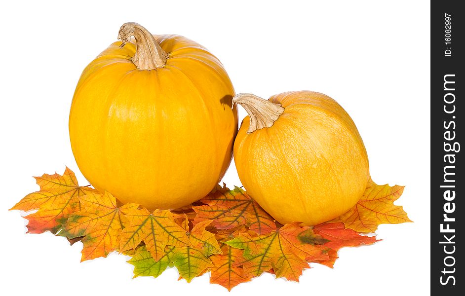 Pumpkins with autumn leaves on white background