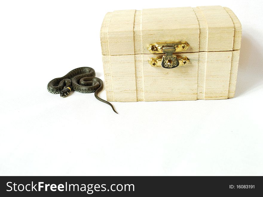 Grass snake curled around a plan chest to the left of him on a white background,. Grass snake curled around a plan chest to the left of him on a white background,