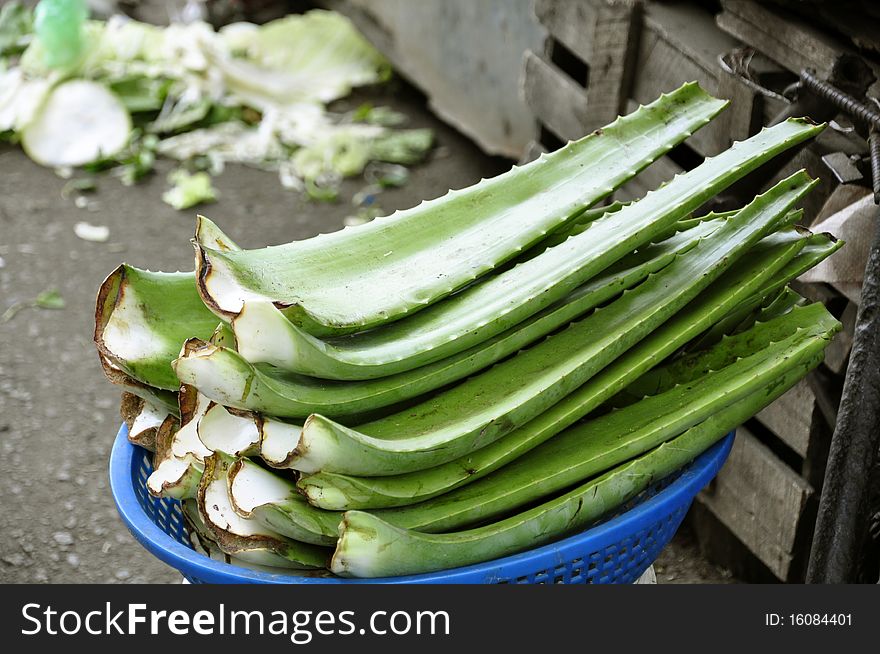 Aloe Vera for sales on the market in Nha Trang