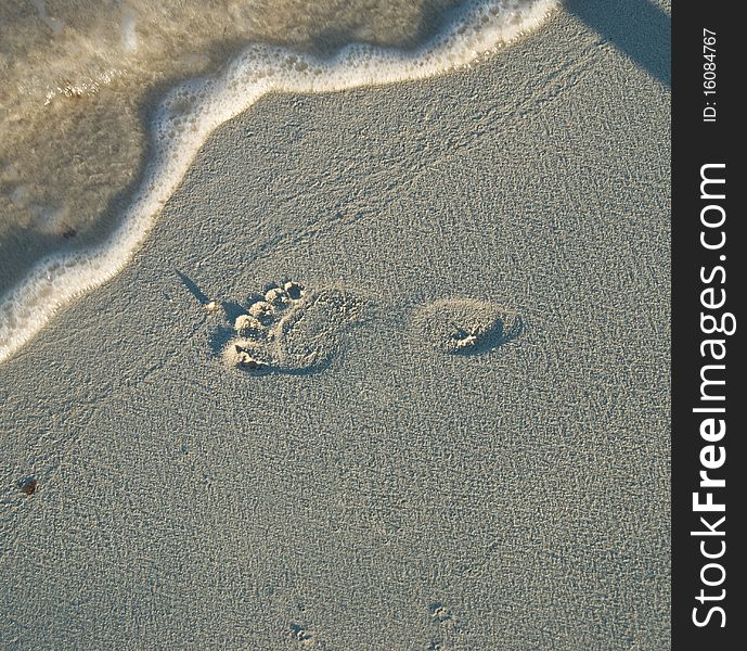 Barefoot On The Beach
