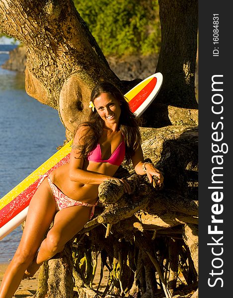 Attractive female surfer leaning on a tree by the beach. Attractive female surfer leaning on a tree by the beach