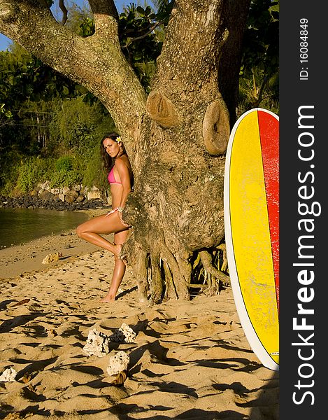 Woman in pink bikini leaning on a tree on the beach next to her surfing board. Woman in pink bikini leaning on a tree on the beach next to her surfing board