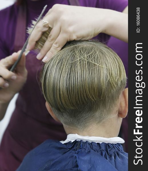 Portrait of boy getting haircut