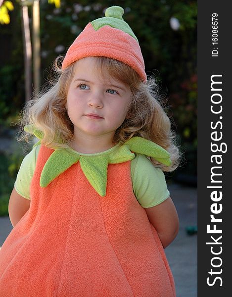 Four year old girl in pumpkin costume. Four year old girl in pumpkin costume