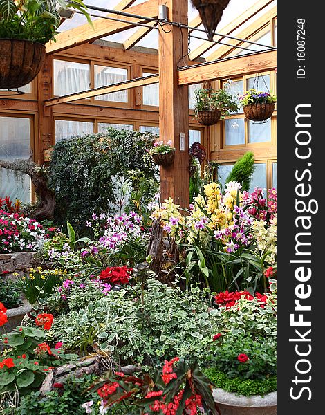 Flowers in Greenhouse