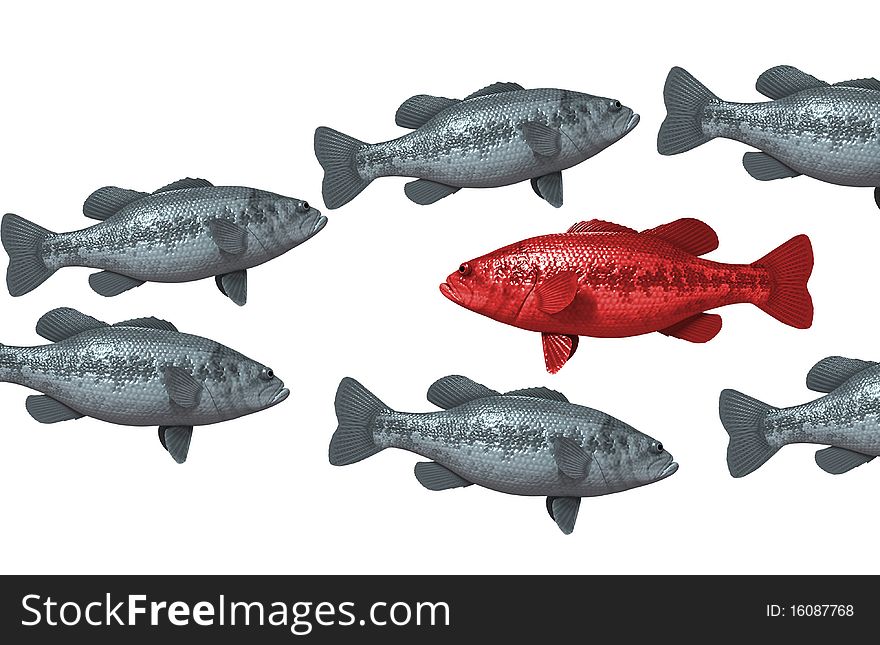 One red fish swims against the rest. One red fish swims against the rest