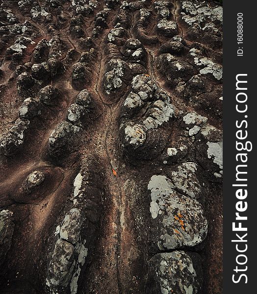 The bumpy stone surface at the top of mountain