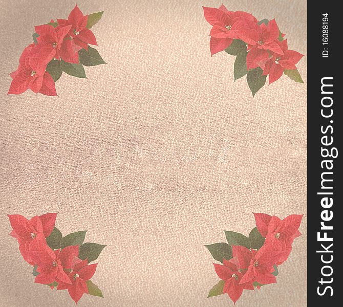 Old paper background with red poinsettia