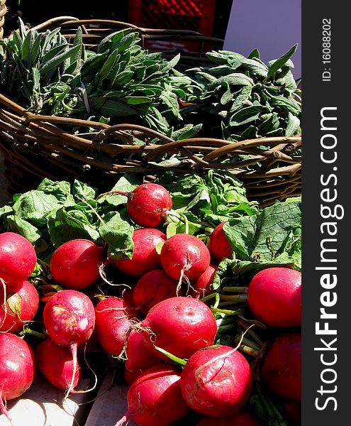 Bunches of bright red radishes on a farmer's market table on a sunny day. Bunches of bright red radishes on a farmer's market table on a sunny day.