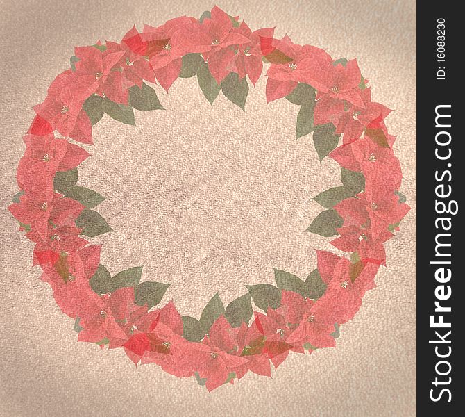 Old paper background with red poinsettia