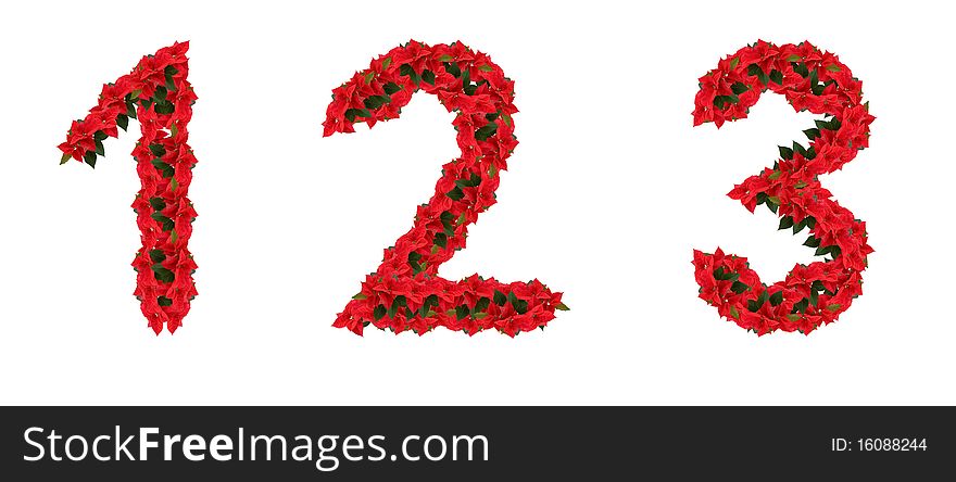 Flower numbers 1, 2 and 3 isolated on white background