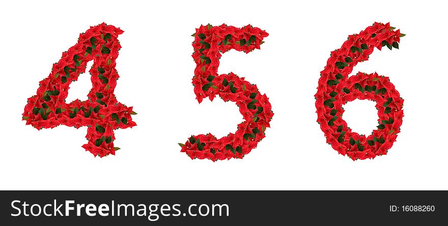 Flower numbers 4, 5 and 6 isolated on white background