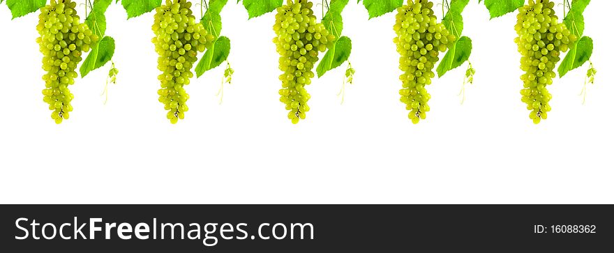 Bunch of grapes isolated on a white background