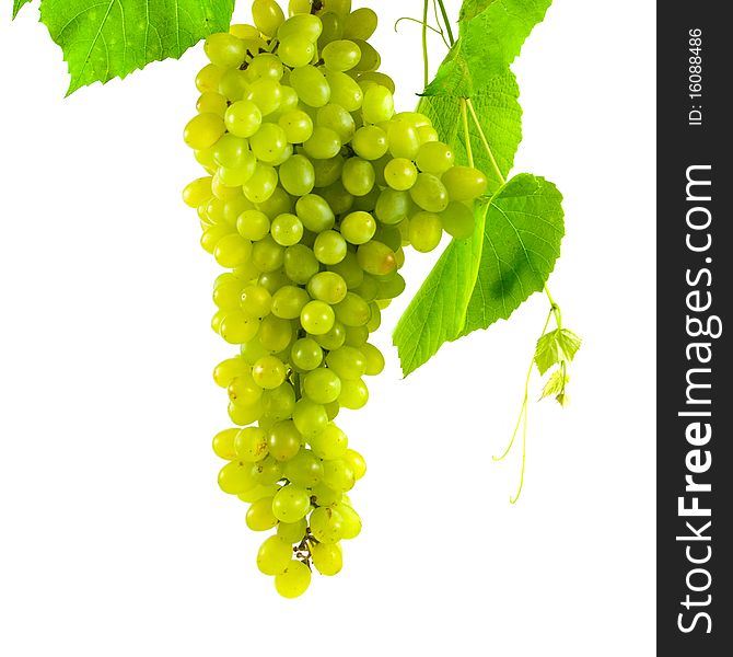 Bunch of grapes isolated on a white background