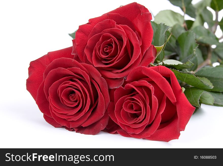 Beautiful bouquet of roses isolated on white background