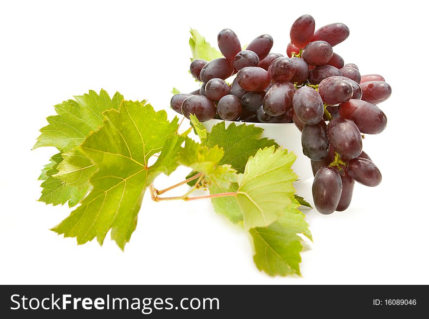 Bunch of grapes with leaves on white background