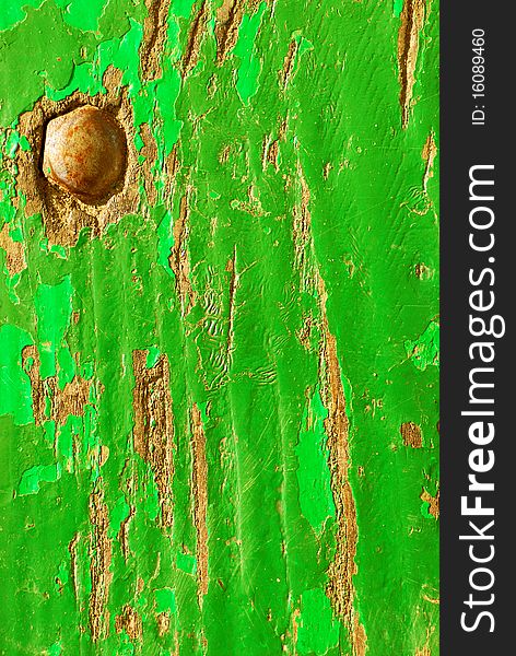 Green wood texture close-up