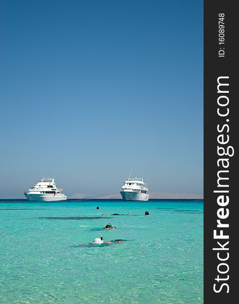 Snorkellers in tropical sea