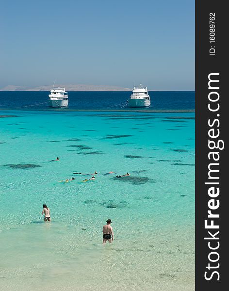 Snorkellers in tropical sea