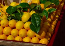 Bright Yellow Lemons And Green Leaves On Display At Market Place Stock Photo