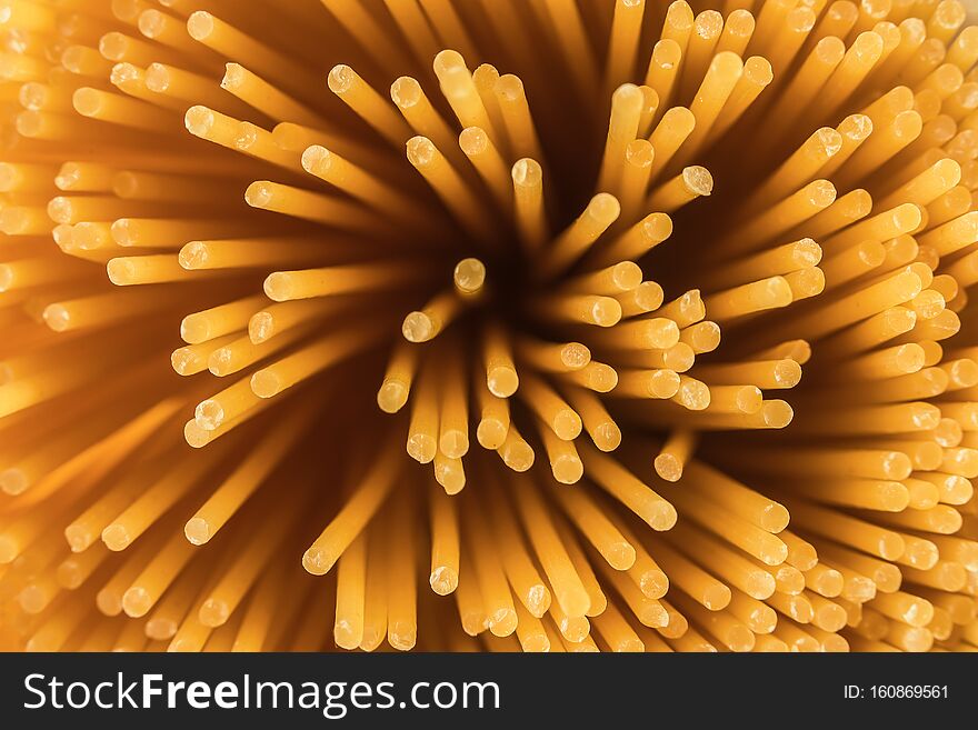 Spiral of Spaghetti in Close-up