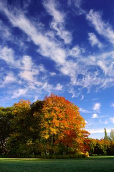 Autumn In Wood Stock Photography Autumn In Wood Stock Photography