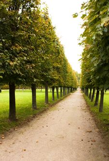 Alley In Park, Arkhangelskoe Stock Image Alley In Park, Arkhangelskoe Stock Image
