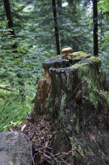 National Park Vanoise Royalty Free Stock Image National Park Vanoise Royalty Free Stock Image