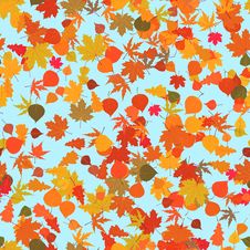 Autumn Leaves, Seamless Background Royalty Free Stock Image
