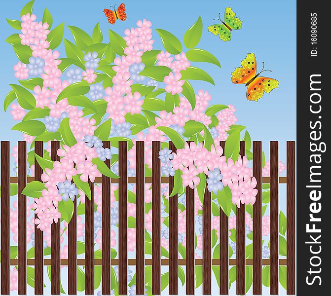 Gentle flowers and multi-colored butterflies. Vector illustration