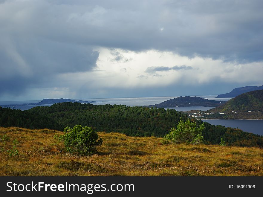 Fjord tree grass green blue sky rain water sea outdor Mountains nature norway norvegian