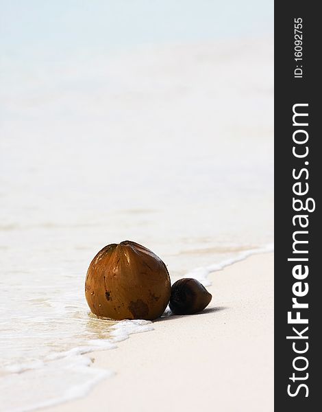 Two coconuts on sand beach. Two coconuts on sand beach