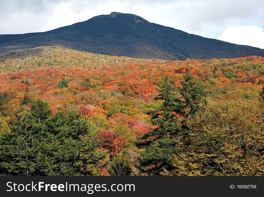 A mountain and the trees under at fall time. A mountain and the trees under at fall time