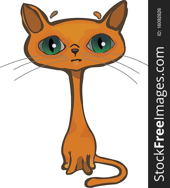 Isolate single sad brown cat with green eyes. Isolate single sad brown cat with green eyes