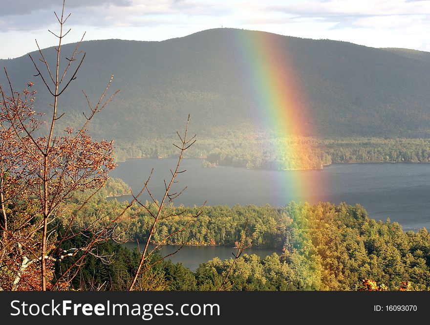 Rainbow closeup with the forest trees as a background