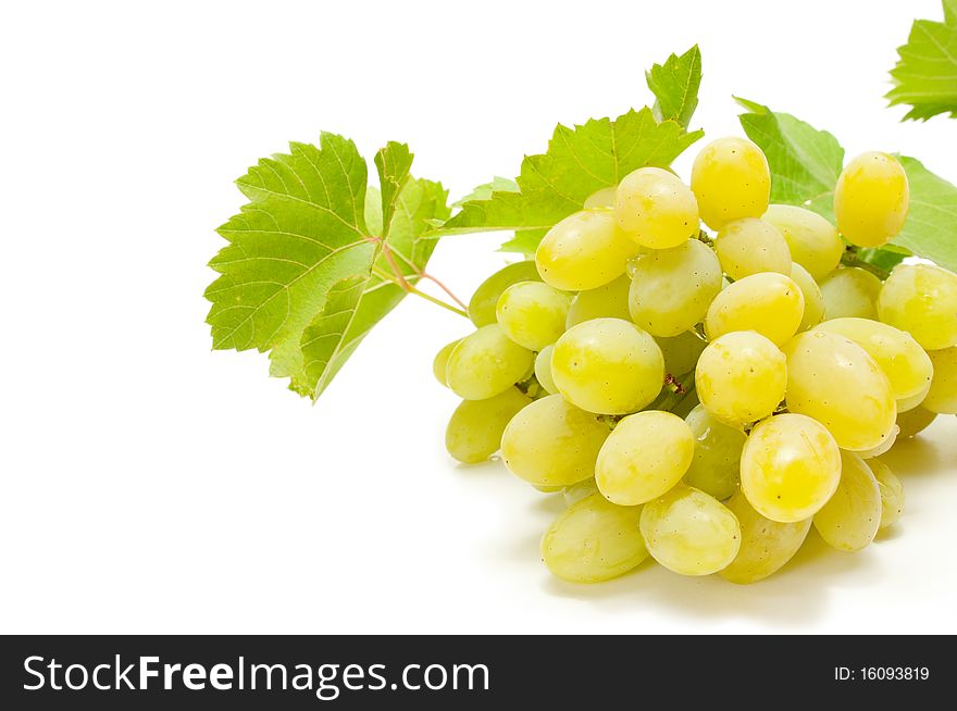 Bunch of grapes with leaves on white background. Bunch of grapes with leaves on white background