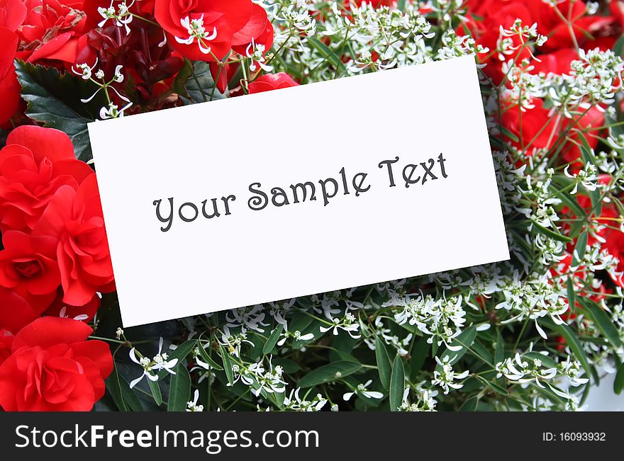 Red and White Flowers with message-card, place for your text. Red and White Flowers with message-card, place for your text