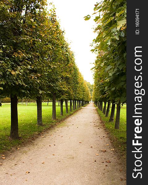 Alley in park, Arkhangelskoe manor, Russia.