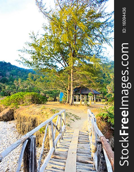 View Pine Wood Bridge Island, Krabi Thailand. View Pine Wood Bridge Island, Krabi Thailand