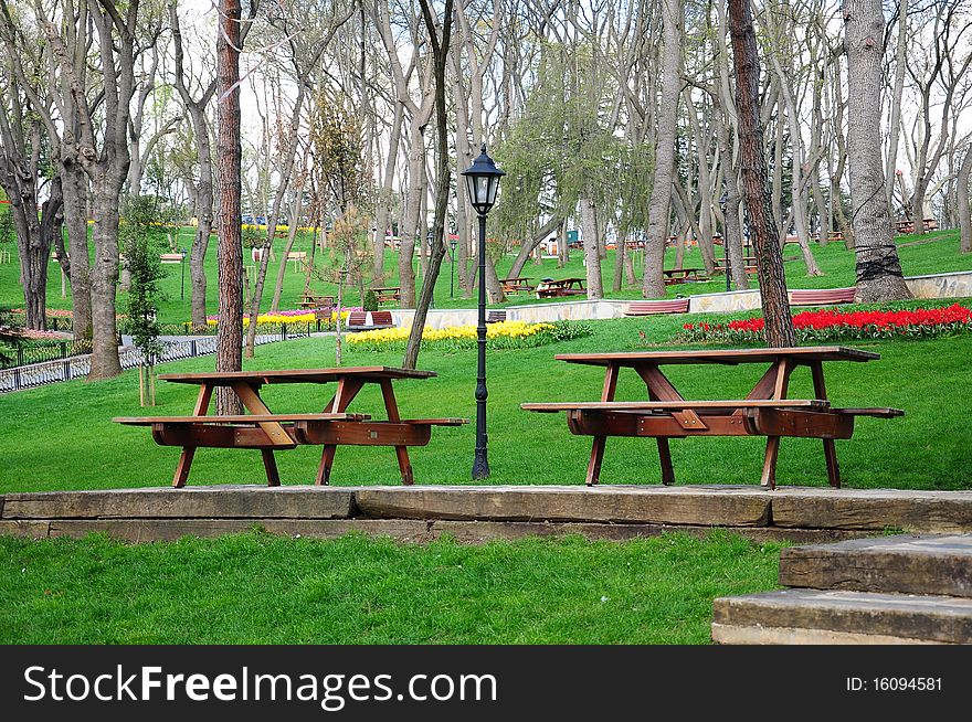 wooden picnic tables in a park