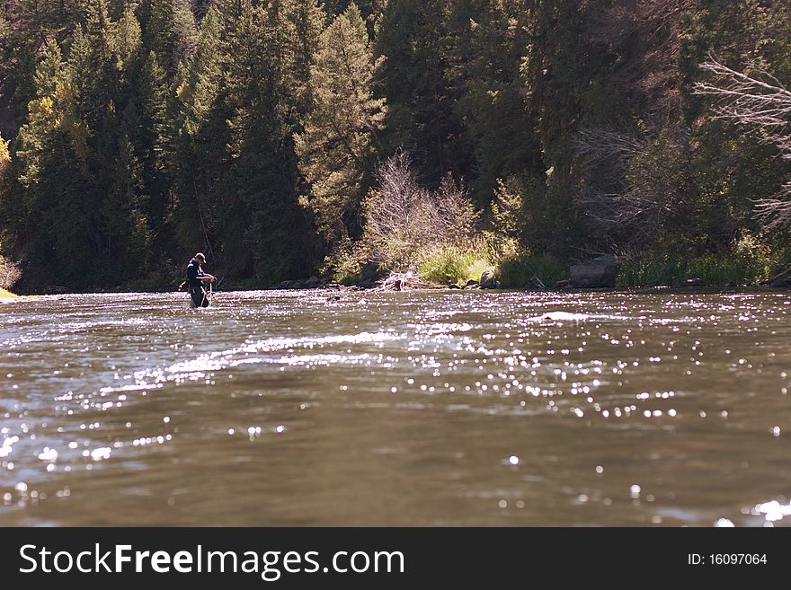 Fly Fishing on Colorado River in the afternoon. Fly Fishing on Colorado River in the afternoon