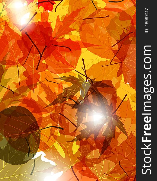 Light through autumn leaves. EPS 8  file included