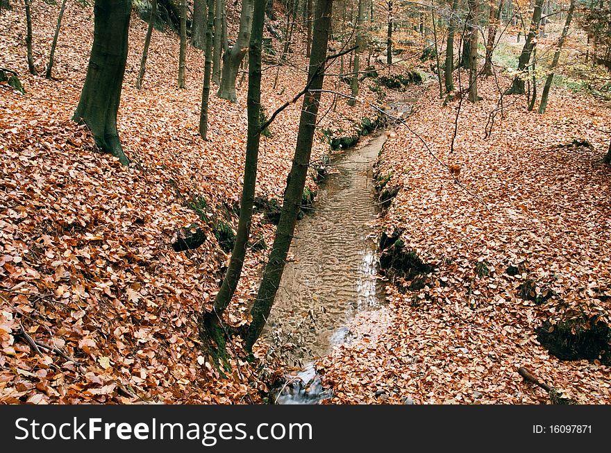 Autumn time in the north of Bohemia