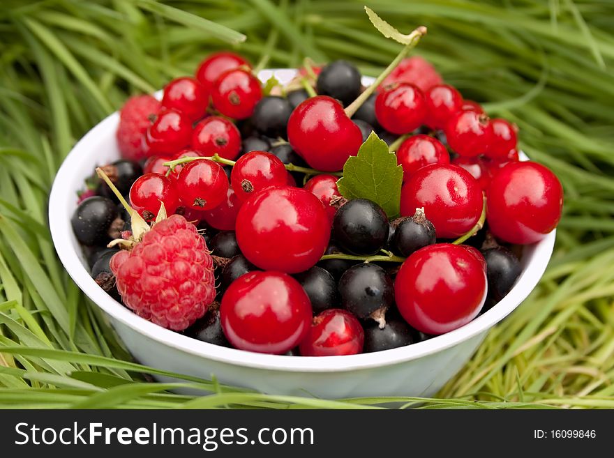 Mixed summer berries in a white bowl on the grass