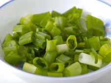 Spring Onion Royalty Free Stock Photo Spring Onion Royalty Free Stock Photo