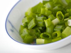Spring Onion Stock Photography Spring Onion Stock Photography