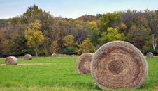 Hay Bales Stock Image Hay Bales Stock Image