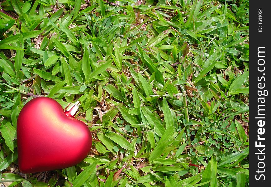 Single Red Heart Against Grass Background