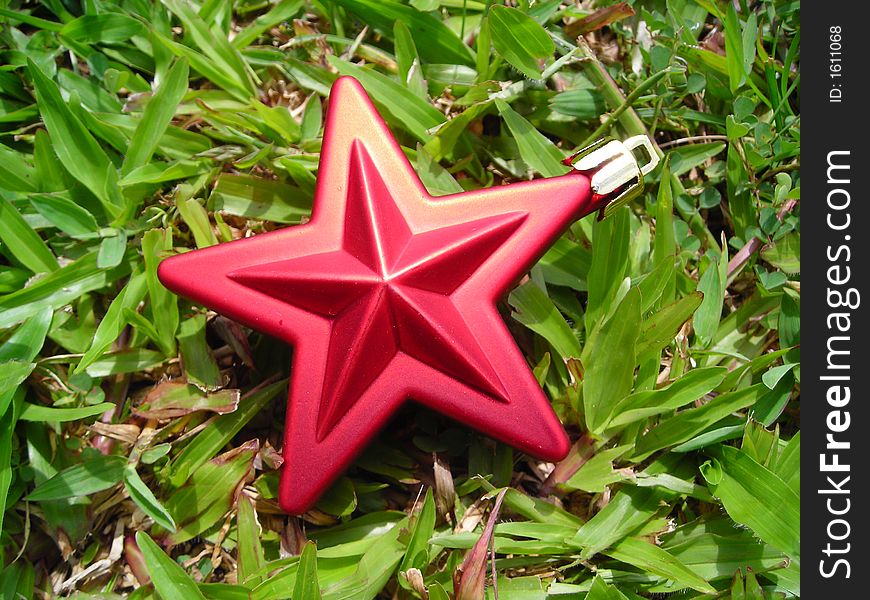 Single closeup christmas star against grass background - christmas decoration. Single closeup christmas star against grass background - christmas decoration