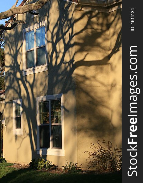 Shadow of a large tree on a house. Shadow of a large tree on a house